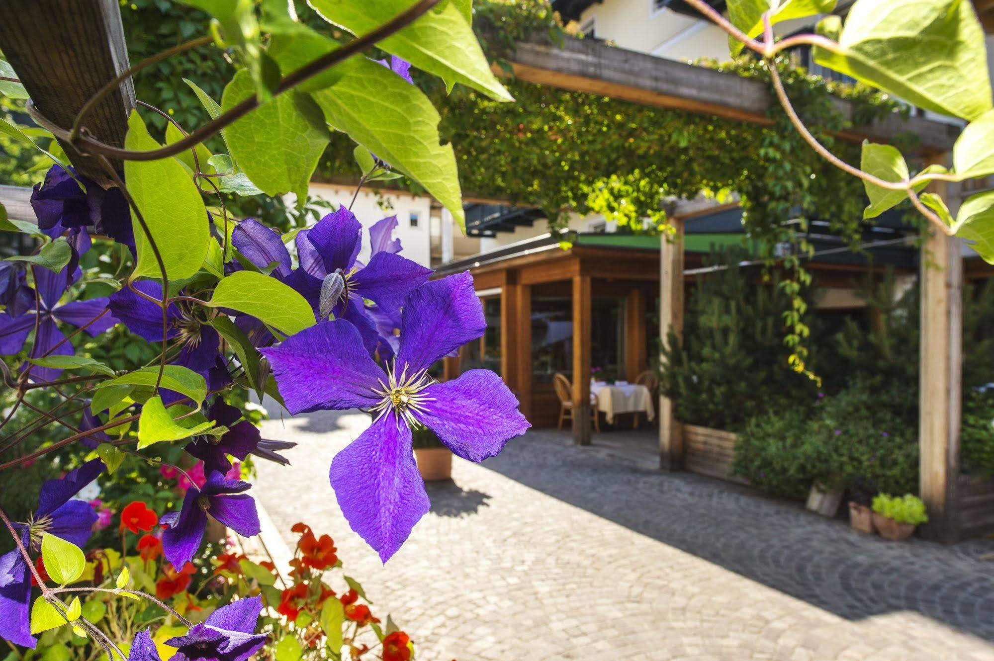 Hotel Drumlerhof Campo Tures Esterno foto